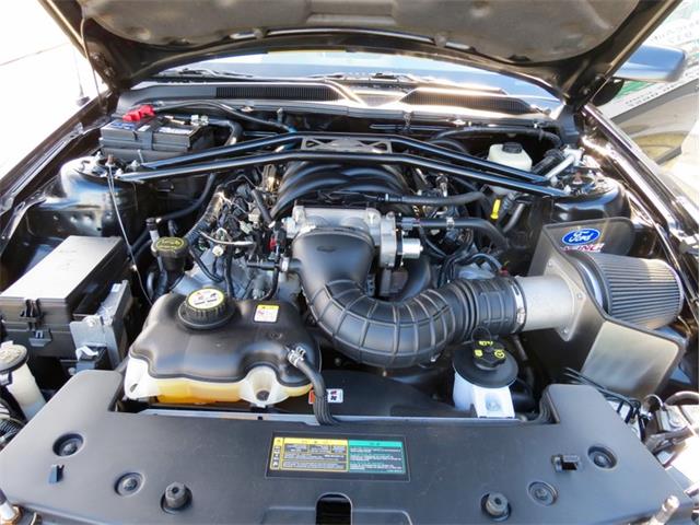 2007 Ford Mustang Shelby (CC-2081988) for sale in Dayton, Ohio