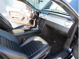 2007 Ford Mustang Shelby (CC-2081988) for sale in Dayton, Ohio