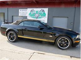 2007 Ford Mustang Shelby (CC-2081988) for sale in Dayton, Ohio