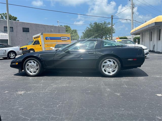1995 Chevrolet Corvette (CC-2081991) for sale in Sarasota, Florida