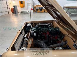 1967 International Scout 800 (CC-2081992) for sale in Holland , Michigan