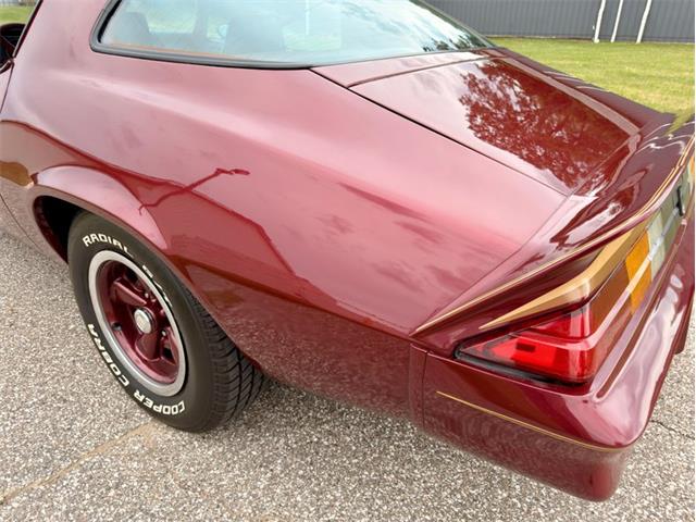1979 Chevrolet Camaro (CC-2081998) for sale in Fenton, Michigan