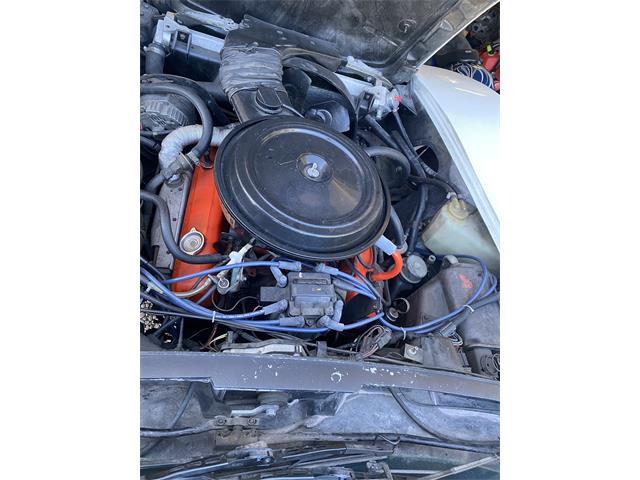 1977 Chevrolet Corvette (CC-2082017) for sale in Longboat Key, Florida