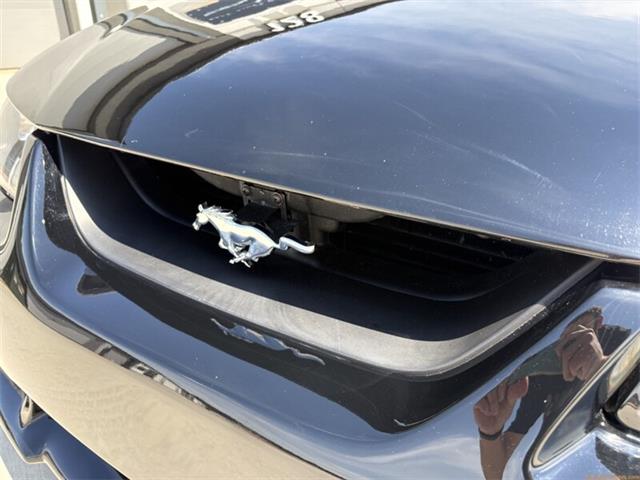 2002 Ford Mustang Saleen S281 (CC-2082065) for sale in Statesville, North Carolina
