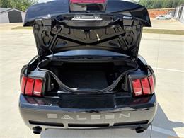 2002 Ford Mustang Saleen S281 (CC-2082065) for sale in Statesville, North Carolina
