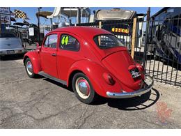 1964 Volkswagen Beetle (CC-2082073) for sale in Lake Havasu, Arizona
