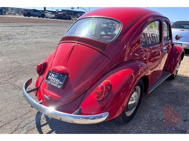 1964 Volkswagen Beetle (CC-2082073) for sale in Lake Havasu, Arizona