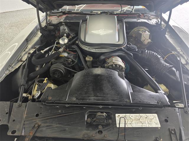 1979 Pontiac Firebird Trans Am (CC-2082082) for sale in Mill Hall, Pennsylvania