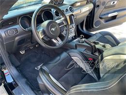 2017 Ford F150 Shelby (CC-2082164) for sale in Columbus, Ohio