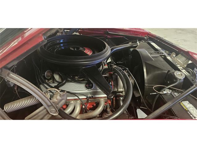 1969 Chevrolet Camaro Z28 (CC-2082174) for sale in Hudson, Florida