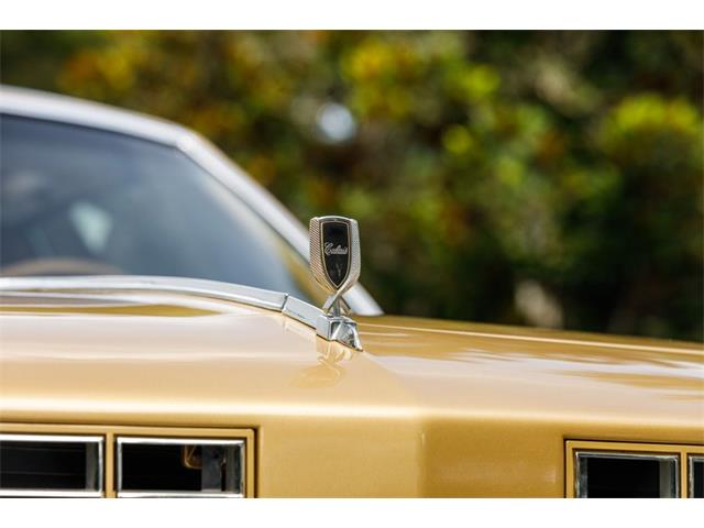1979 Oldsmobile Hurst (CC-2080226) for sale in Orlando, Florida