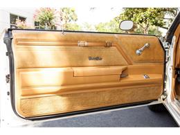 1979 Oldsmobile Hurst (CC-2080226) for sale in Orlando, Florida