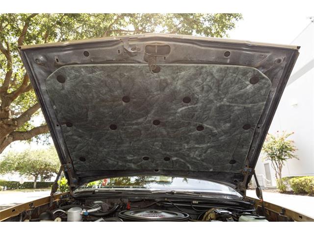 1979 Oldsmobile Hurst (CC-2080226) for sale in Orlando, Florida