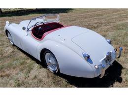 1954 Jaguar XK (CC-2082318) for sale in Cadillac, Michigan