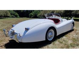 1954 Jaguar XK (CC-2082318) for sale in Cadillac, Michigan