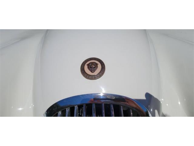 1954 Jaguar XK (CC-2082318) for sale in Cadillac, Michigan