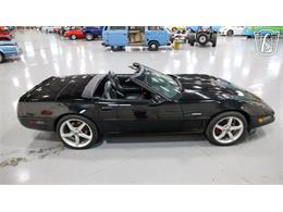 1996 Chevrolet Corvette (CC-2082332) for sale in New Braundfels, Texas
