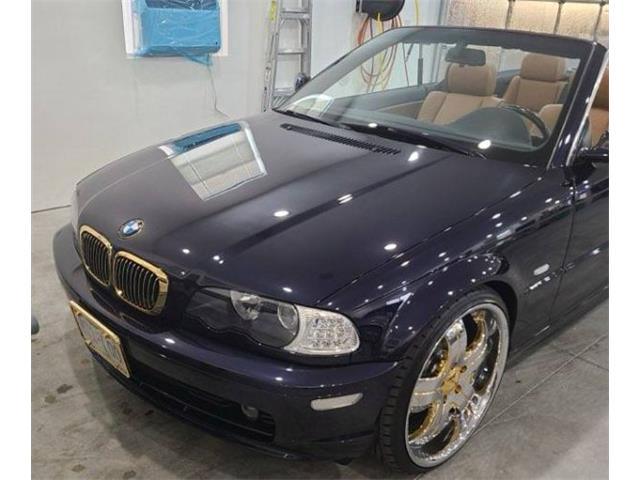 2002 BMW 325 (CC-2082354) for sale in Cadillac, Michigan