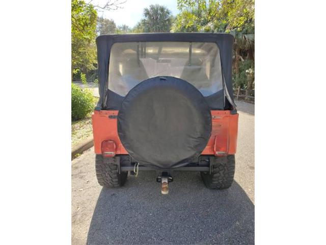 1979 AMC Jeep Laredo (CC-2082430) for sale in Cadillac, Michigan
