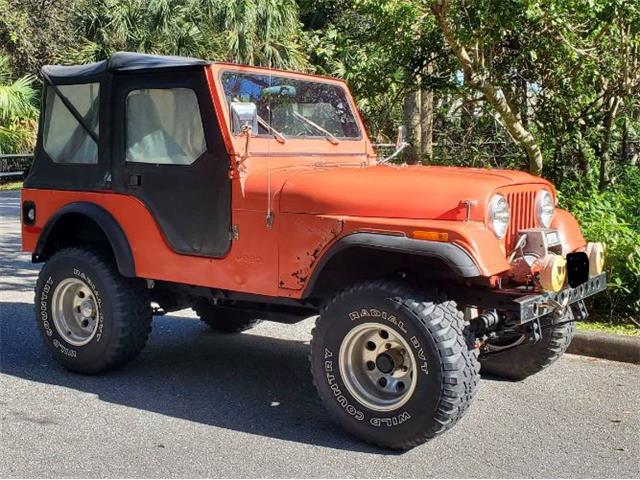 1979 AMC Jeep Laredo (CC-2082430) for sale in Cadillac, Michigan