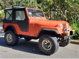 1979 AMC Jeep Laredo (CC-2082430) for sale in Cadillac, Michigan