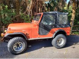 1979 AMC Jeep Laredo (CC-2082430) for sale in Cadillac, Michigan