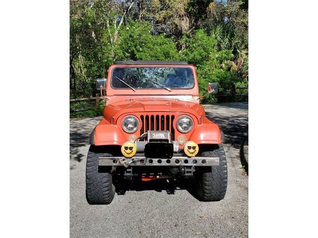 1979 AMC Jeep Laredo (CC-2082430) for sale in Cadillac, Michigan
