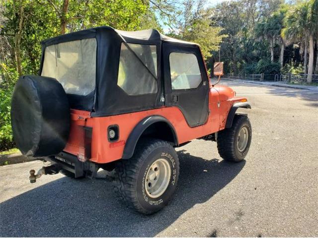 1979 AMC Jeep Laredo (CC-2082430) for sale in Cadillac, Michigan