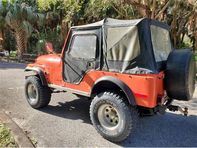 1979 AMC Jeep Laredo (CC-2082430) for sale in Cadillac, Michigan