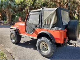 1979 AMC Jeep Laredo (CC-2082430) for sale in Cadillac, Michigan