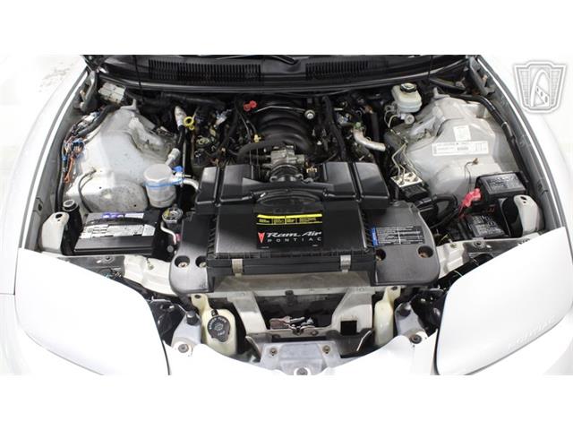 1999 Pontiac Firebird Trans Am (CC-2082438) for sale in Lake Mary, Florida
