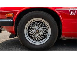 1990 Jaguar XJS (CC-2082449) for sale in Smyrna, Tennessee