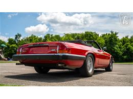 1990 Jaguar XJS (CC-2082449) for sale in Smyrna, Tennessee