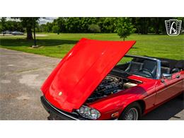 1990 Jaguar XJS (CC-2082449) for sale in Smyrna, Tennessee