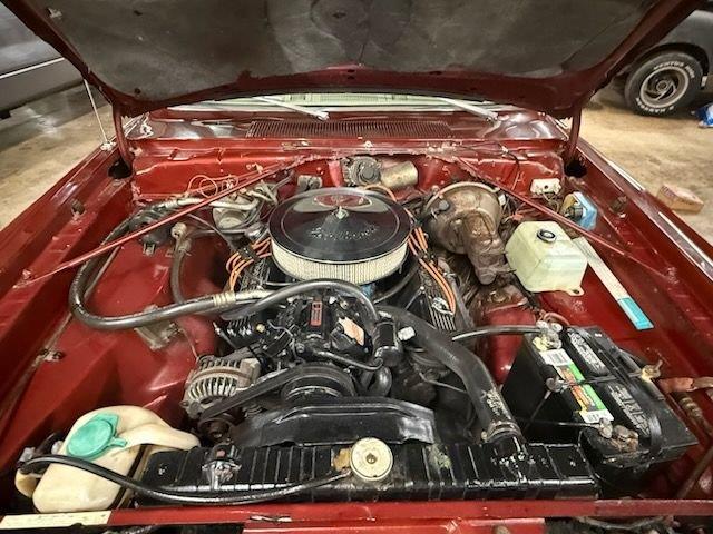 1974 Dodge Dart (CC-2082467) for sale in Greensboro, North Carolina