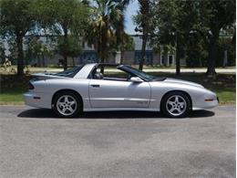 1997 Pontiac Firebird (CC-2082542) for sale in Palmetto, Florida