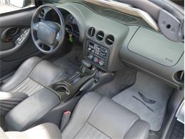 1997 Pontiac Firebird (CC-2082542) for sale in Palmetto, Florida