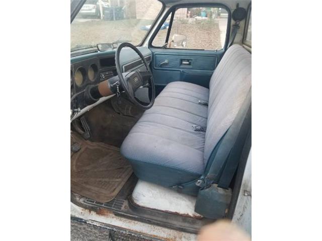1979 Chevrolet Custom (CC-2082545) for sale in Cadillac, Michigan