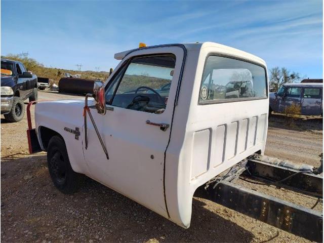 1983 Chevrolet Custom (CC-2082565) for sale in Cadillac, Michigan