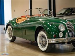 1955 Jaguar Roadster (CC-2082572) for sale in Torrance, California