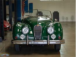 1955 Jaguar Roadster (CC-2082572) for sale in Torrance, California