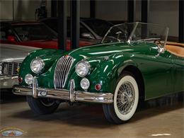 1955 Jaguar Roadster (CC-2082572) for sale in Torrance, California