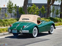 1955 Jaguar Roadster (CC-2082572) for sale in Torrance, California