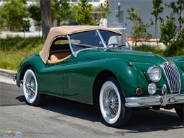 1955 Jaguar Roadster (CC-2082572) for sale in Torrance, California