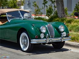 1955 Jaguar Roadster (CC-2082572) for sale in Torrance, California