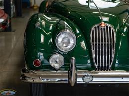 1955 Jaguar Roadster (CC-2082572) for sale in Torrance, California