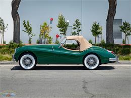 1955 Jaguar Roadster (CC-2082572) for sale in Torrance, California