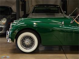 1955 Jaguar Roadster (CC-2082572) for sale in Torrance, California