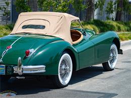 1955 Jaguar Roadster (CC-2082572) for sale in Torrance, California