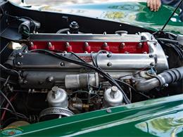 1955 Jaguar Roadster (CC-2082572) for sale in Torrance, California